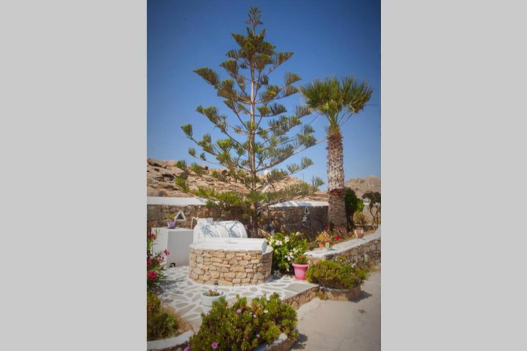Mykonos Town White Dreams Studio מראה חיצוני תמונה